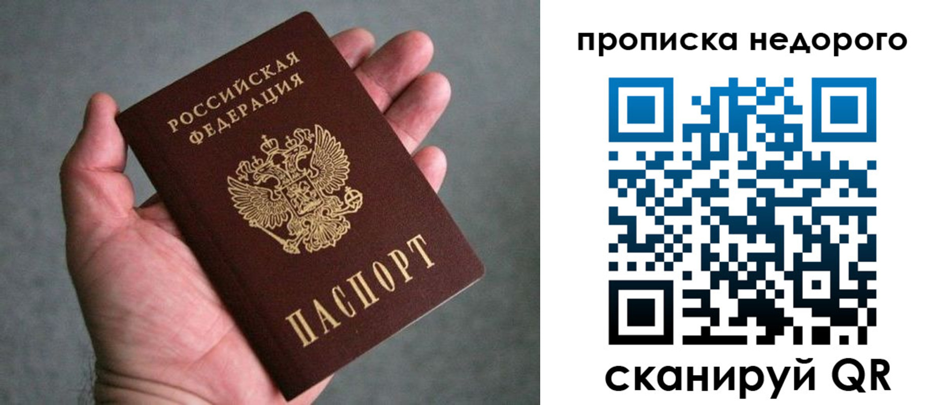 прописка поиск в Асино
